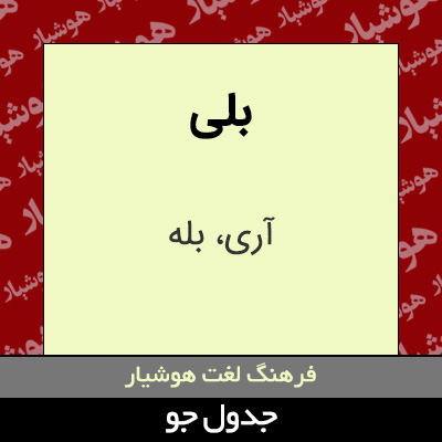 تصویری از بلی