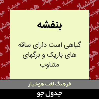 تصویری از بنفشه