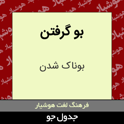 تصویری از بو گرفتن