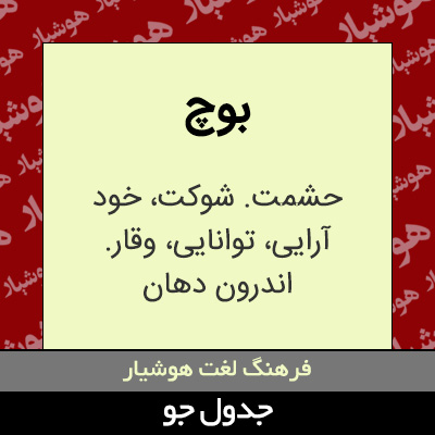 تصویری از بوچ