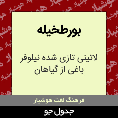 تصویری از بورطخیله