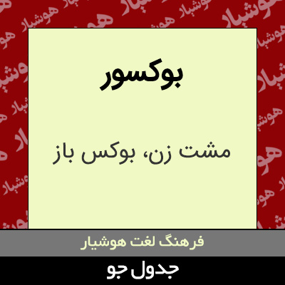 تصویری از بوکسور
