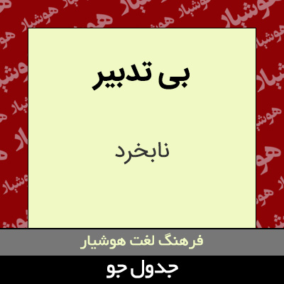 تصویری از بی تدبیر