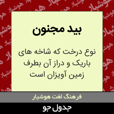 تصویری از بید مجنون