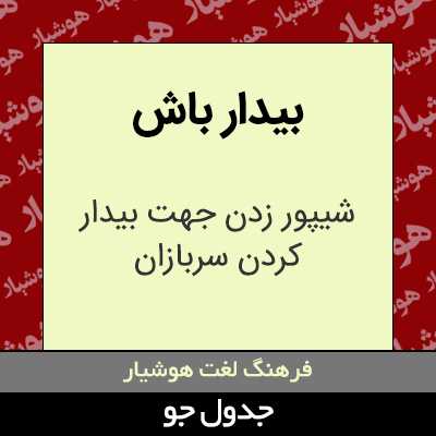 تصویری از بیدار باش