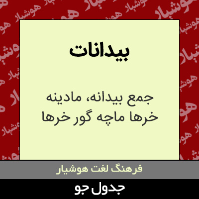 تصویری از بیدانات