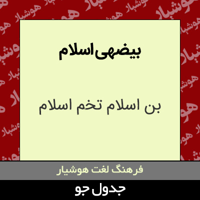 تصویری از بیضهی اسلام