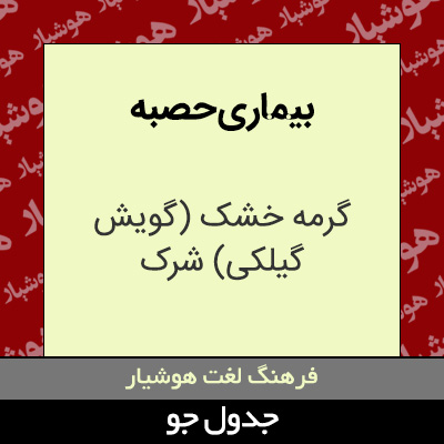 تصویری از بیماری حصبه