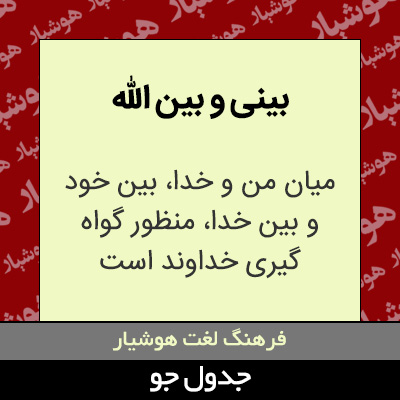 تصویری از بینی و بین الله