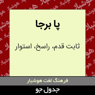 تصویری از پا برجا