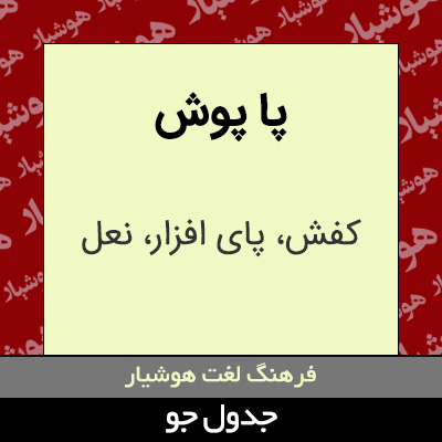 تصویری از پا پوش