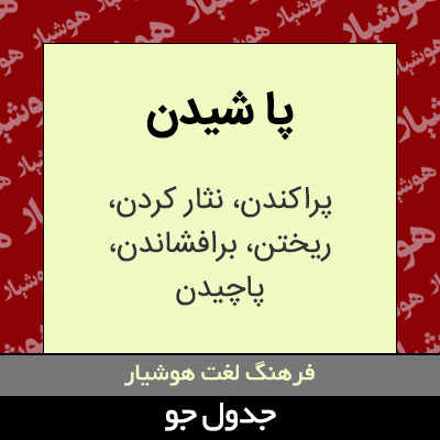 تصویری از پا شیدن