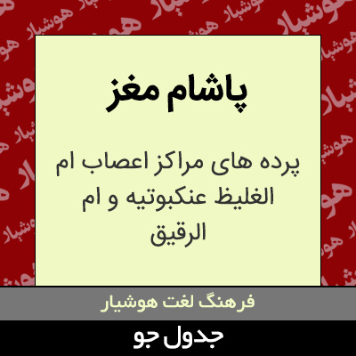 تصویری از پاشام مغز