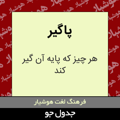 تصویری از پاگیر