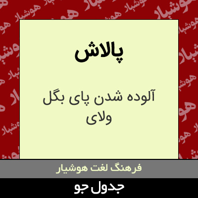 تصویری از پالاش