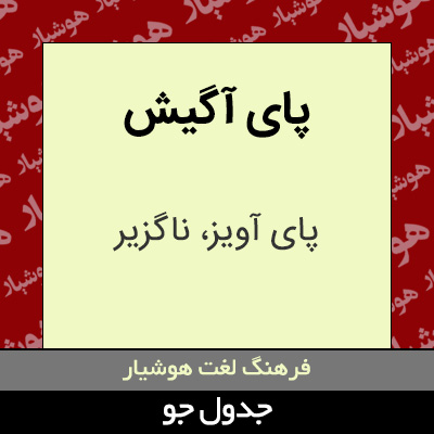 تصویری از پای آگیش