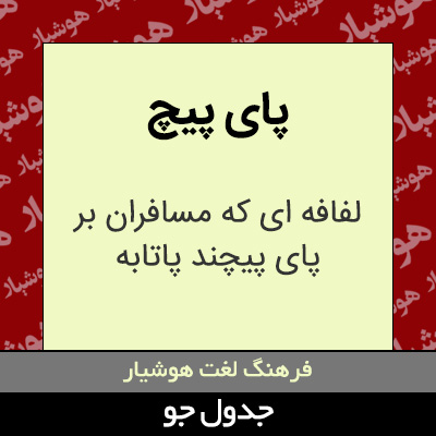 تصویری از پای پیچ