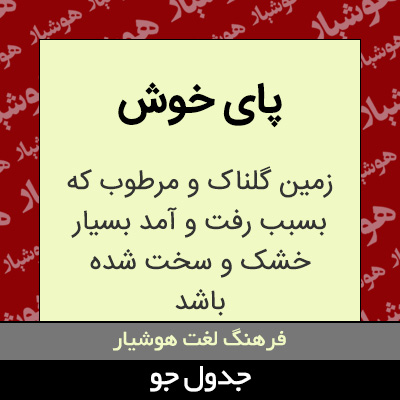 تصویری از پای خوش