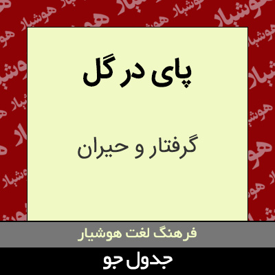 تصویری از پای در گل