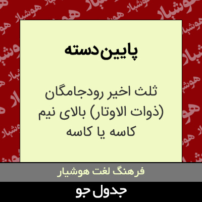 تصویری از پایین دسته