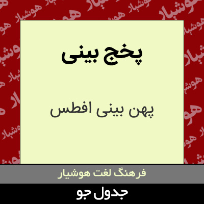 تصویری از پخج بینی