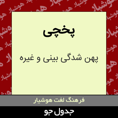 تصویری از پخچی