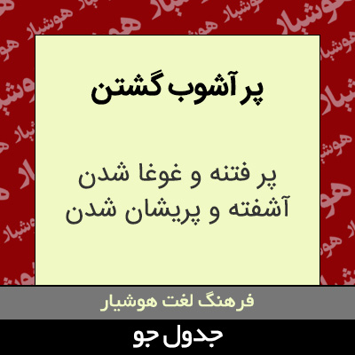 تصویری از پر آشوب گشتن