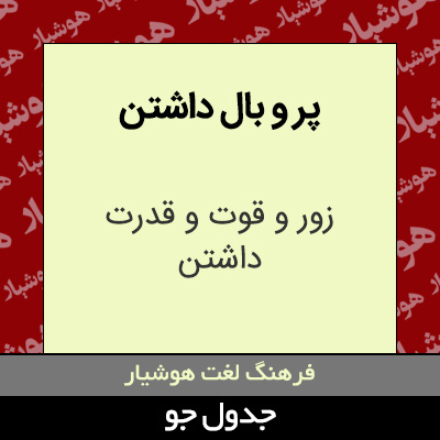 تصویری از پر و بال داشتن