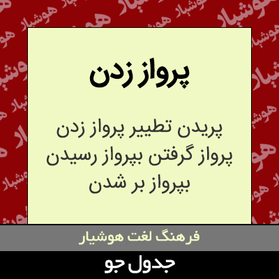 تصویری از پرواز زدن