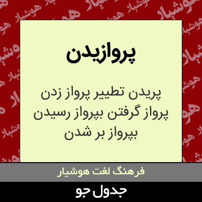 تصویری از پروازیدن