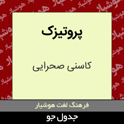 تصویری از پروتیزک