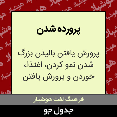 تصویری از پرورده شدن