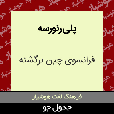 تصویری از پلی رنورسه