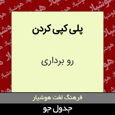 تصویری از پلی کپی کردن