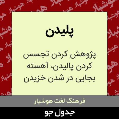 تصویری از پلیدن