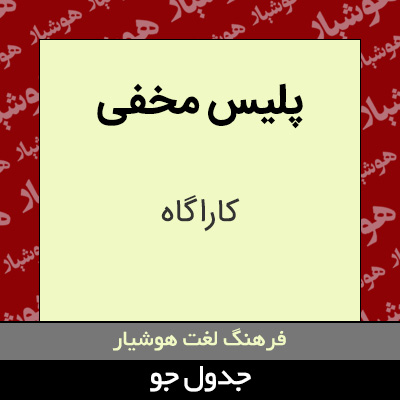 تصویری از پلیس مخفی