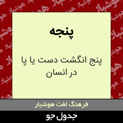 تصویری از پنجه