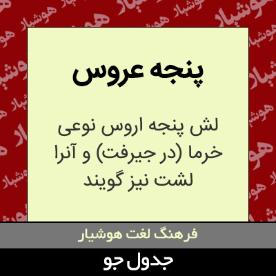 تصویری از پنجه عروس