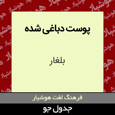 تصویری از پوست دباغی شده