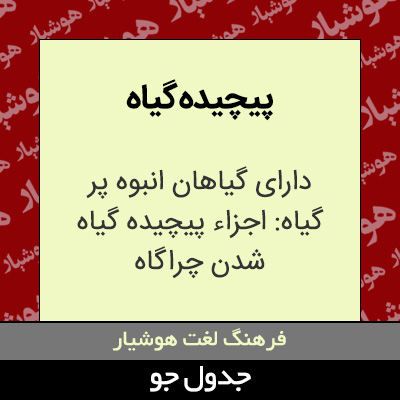 تصویری از پیچیده گیاه