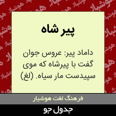 تصویری از پیر شاه