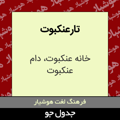 تصویری از تار عنکبوت