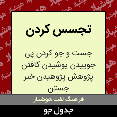 تصویری از تجسس کردن