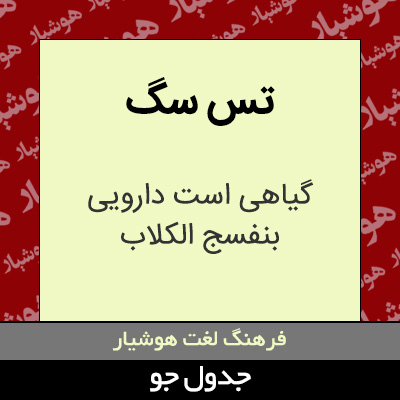 تصویری از تس سگ