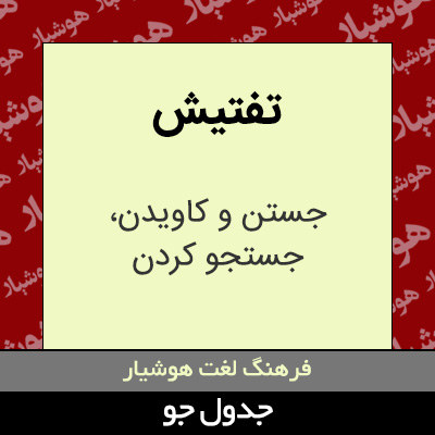 تصویری از تفتیش