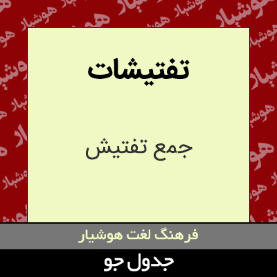 تصویری از تفتیشات