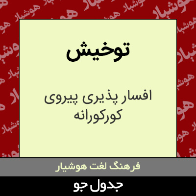 تصویری از توخیش