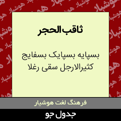 تصویری از ثاقب الحجر