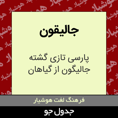 تصویری از جالیقون
