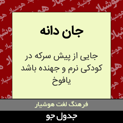 تصویری از جان دانه